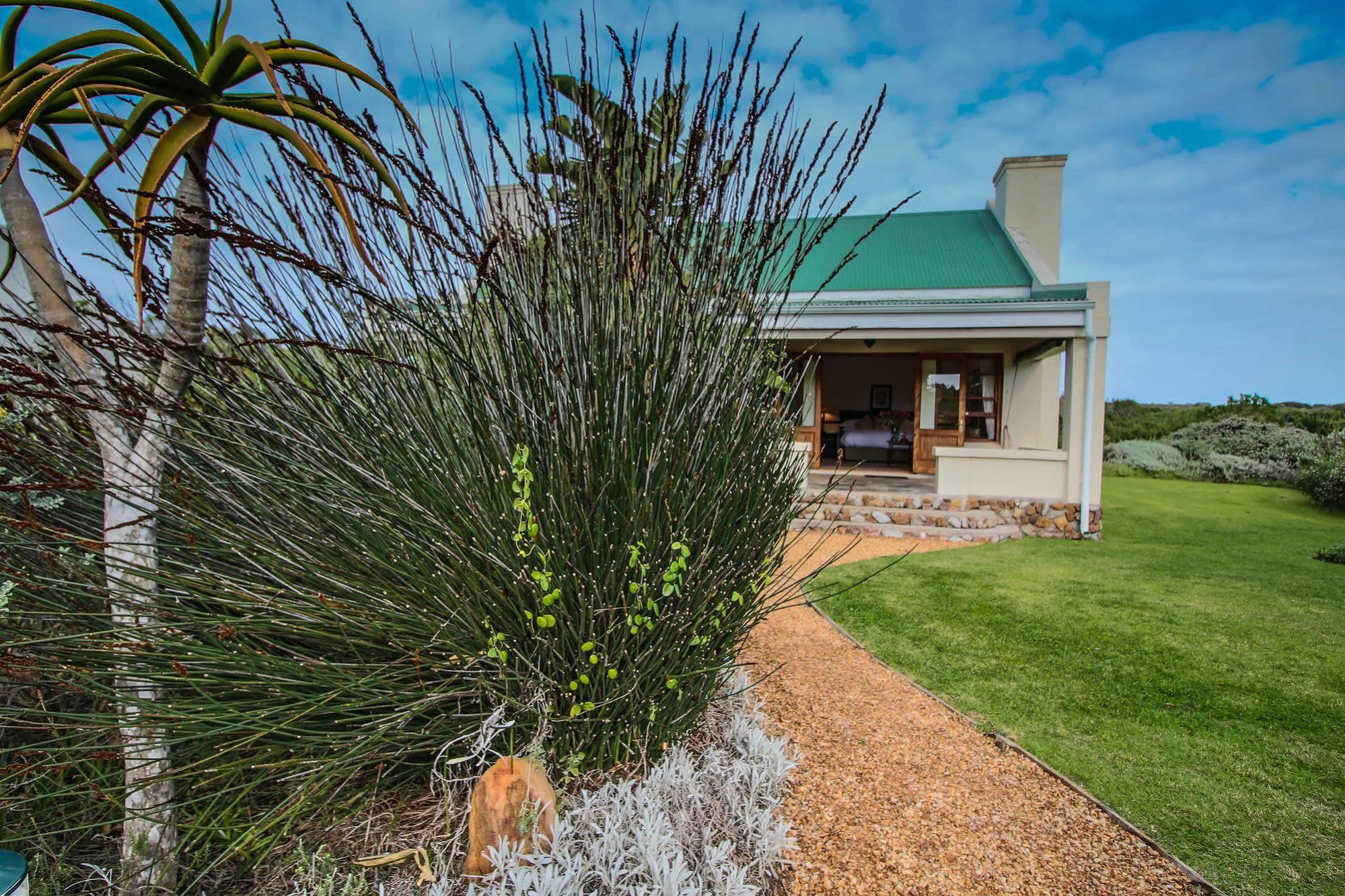 Dune Ridge Country House St Francis Bay Extérieur photo